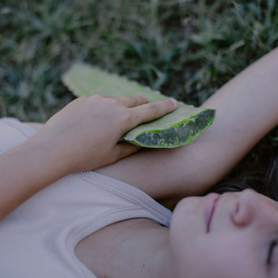 Les bienfaits de l’aloe vera sur la peau
